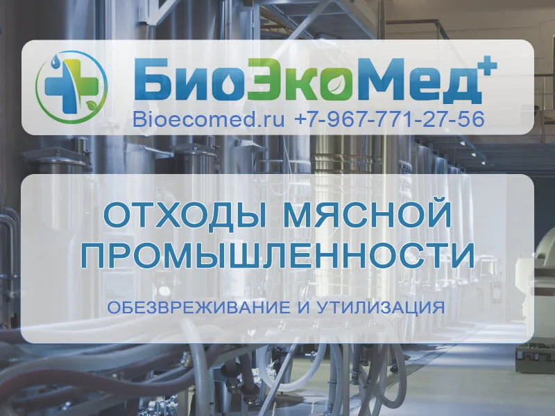Отходы мясной промышленности