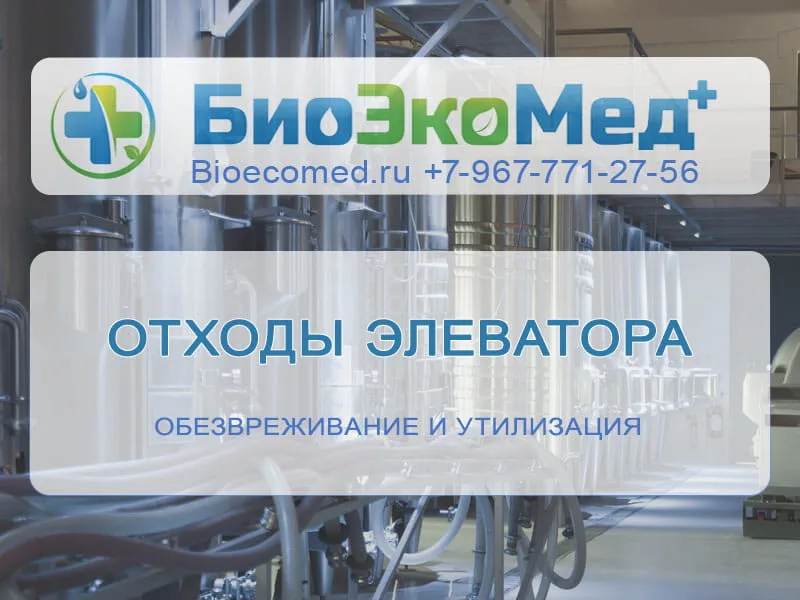 Отходы элеватора